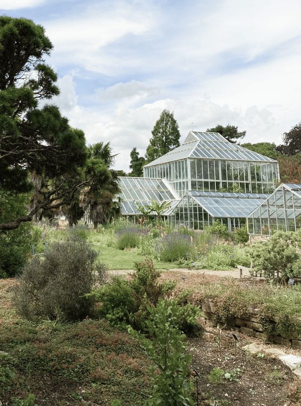 A glasshouse in the University Botanic Garden