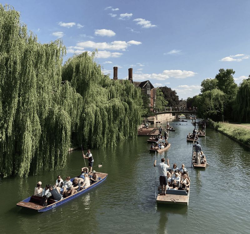 Punts on the River Cam under willow trees